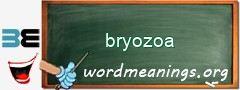 WordMeaning blackboard for bryozoa